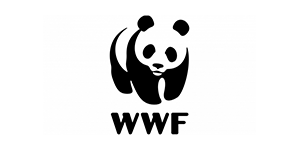 Luxuriöses Wohnzimmerdesign mit stilvollen Möbeln und eleganter Beleuchtung.