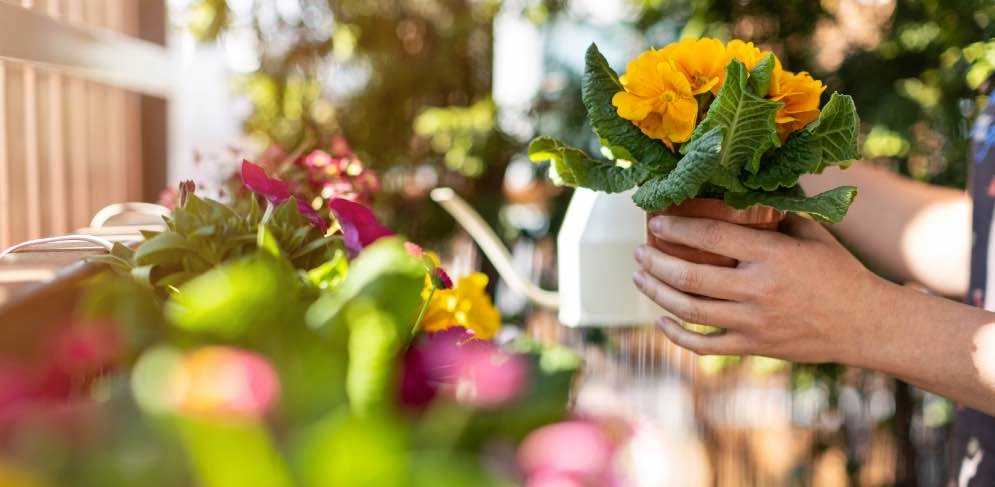 Blumen auf dem Balkon werden gegossen