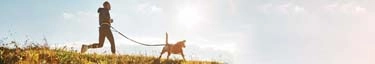 Jogger mit Hund im Sonnenlicht, Natur, Fitness, Freiheit.