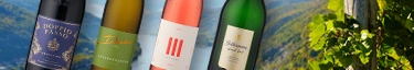 Vier edle Weinflaschen vor malerischer Weinbergkulisse.